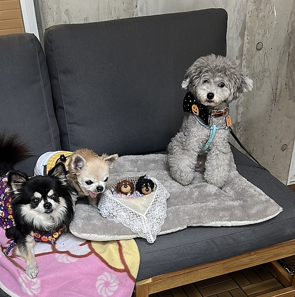 テラス席はペット可になっておりますので、一緒にお越しくださいませ。