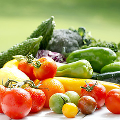 西洋食堂まほろ亭の写真2