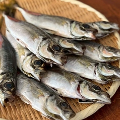 神田つり食堂 サクラのおすすめ料理1