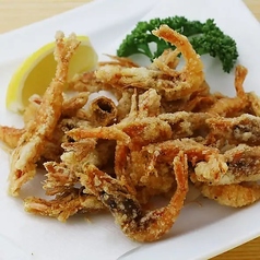 小ガスエビの唐揚げ