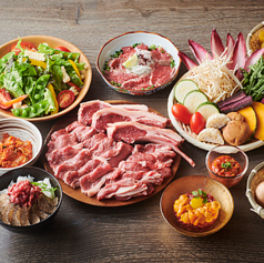 炭焼ジンギスカン 北の風の特集写真