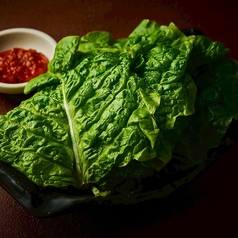 チシャ菜