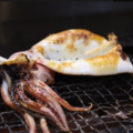 料理メニュー写真&nbsp;イカ