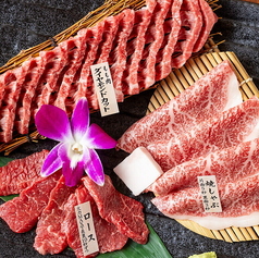 焼肉やまと 船橋店特集写真1