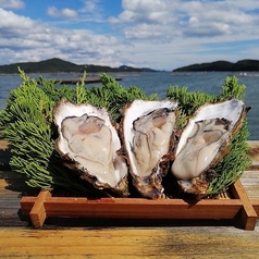 喜怒哀楽 博多中洲本店の特集写真