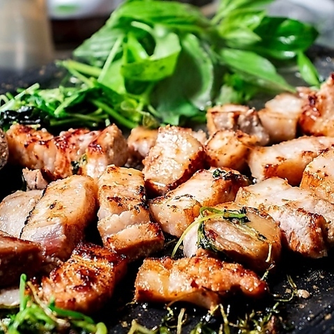 �R���A���_�C�j���O �^���p��