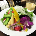 料理メニュー写真 ベルオリジナルドレッシングの彩りサラダ