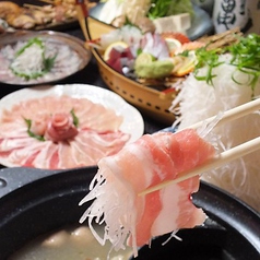 梵次郎 ぼんじろうの特集写真