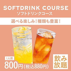 ソフトドリンクコース(1人前)/ 席120分制(L.O.90分)