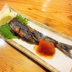 博多名物　いわし明太子