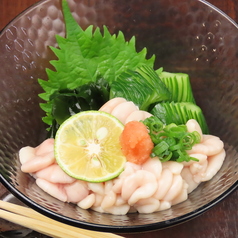 いつ来ても楽しい”本日のおすすめ”