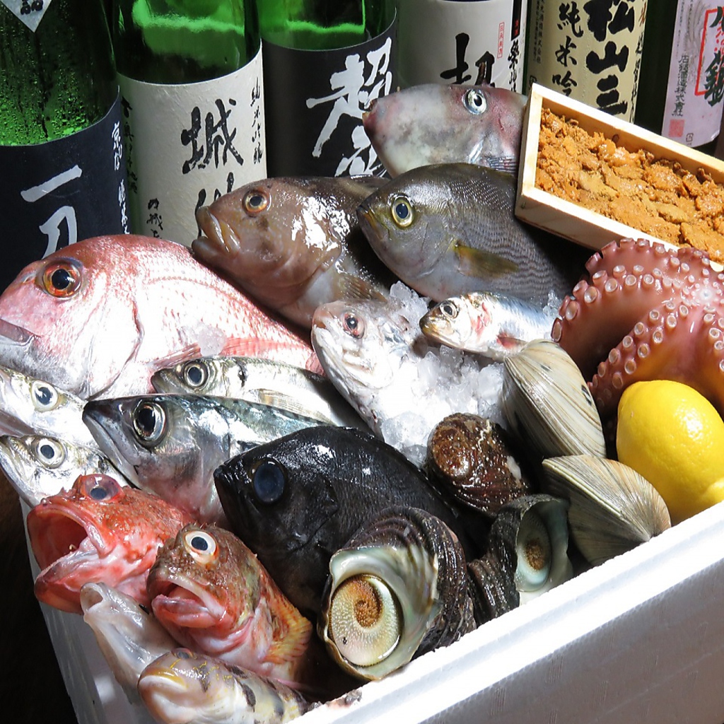 瀬戸内産の鮮魚を仕入れております！