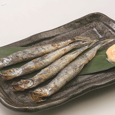 menu photo