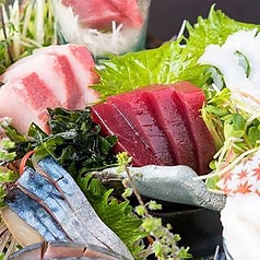 ことぶきや 成城学園前のコース写真