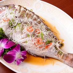鮮魚の広東風蒸し