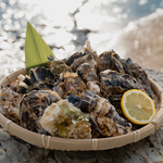 WOOD DESIGN PARK ウッドデザインパーク 野間の写真ギャラリー