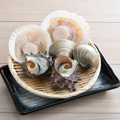 貝焼セット《並盛り》　活帆立 1ヶ/活北寄貝 1ヶ/活ホンビノス貝 1ヶ