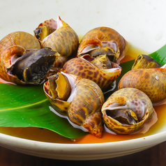 貝やYAKUMO ヤクモ 浜松のコース写真