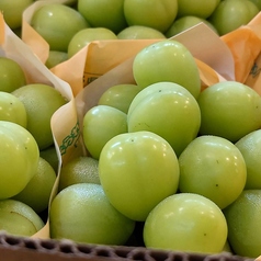 一輝の特集写真