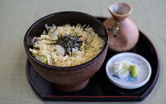月見たぬき