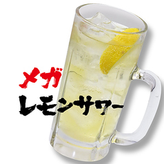 メガサイズ 各種