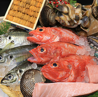 産地直送の新鮮魚介を贅沢に味わう自慢の海鮮料理♪