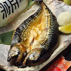 厳選干物