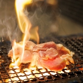 博多炉端 しらべ 月島駅のおすすめ料理2