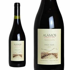 【赤】カテナアラモス　セレクシオン　ピノノワール