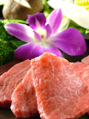 焼肉の牛太 本陣 深江店のコース写真