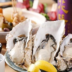 府中日本酒バル バチヤ BACHIYAの特集写真