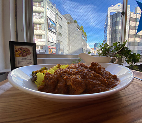 日当たりの良い店内で本格的スパイ使いのカレーをお楽しみください！