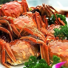 中華居酒屋 東方一角 銀座本館のコース写真