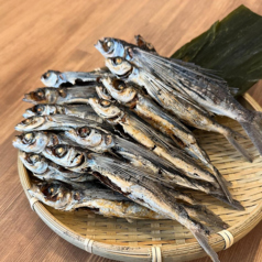 日日うどん 宮崎台店のおすすめポイント1