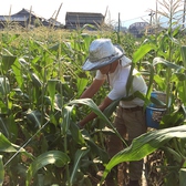 自家製の農場の野菜をふんだんに使用しています！美味しい野菜も魅力！