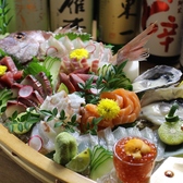 魚貝 鶏料理 日本酒 とよ新のおすすめ料理2