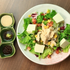 ドレッシング選べる 蒸し鶏と豆腐のサラダ各種