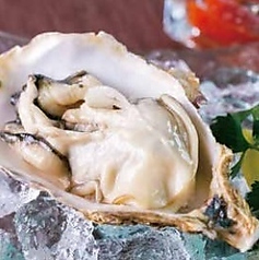 フレッシュオイスター 1ピース