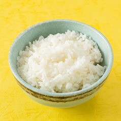 白ご飯（中）