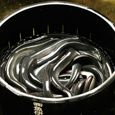 鳴門うどん 鰻birdの特集写真