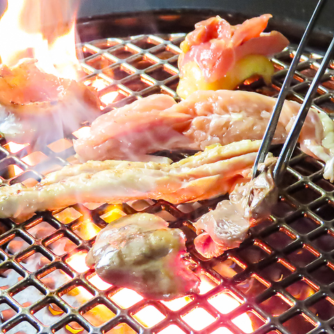 コスパ抜群◎若鳥のももから珍しいホルモンまで種類豊富！鶏肉専門焼肉店♪