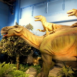 イグアノドンの上には、恐竜映画でお馴染みのヴェロキラプトルも！