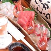 海鮮日本酒居酒屋 のんべえのおすすめ料理2