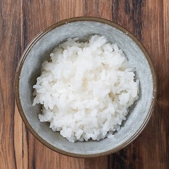 ごはん(大)