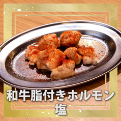 【和牛】脂付き牛ホルモン タレ/塩
