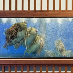 博多 表邸の写真2
