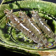 贅沢気分を味わう