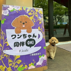 アイカフェ #.icafe 三宮の雰囲気1