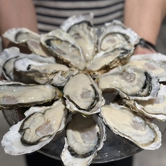 牡蠣とレモン 刈谷店の特集写真