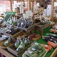 農家直売所、はぎせん市場☆近隣の農家、美味しい野菜があれば遠方の農家まで直に買い付けしています。